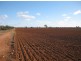 * Timbery, Cobar NSW 2835