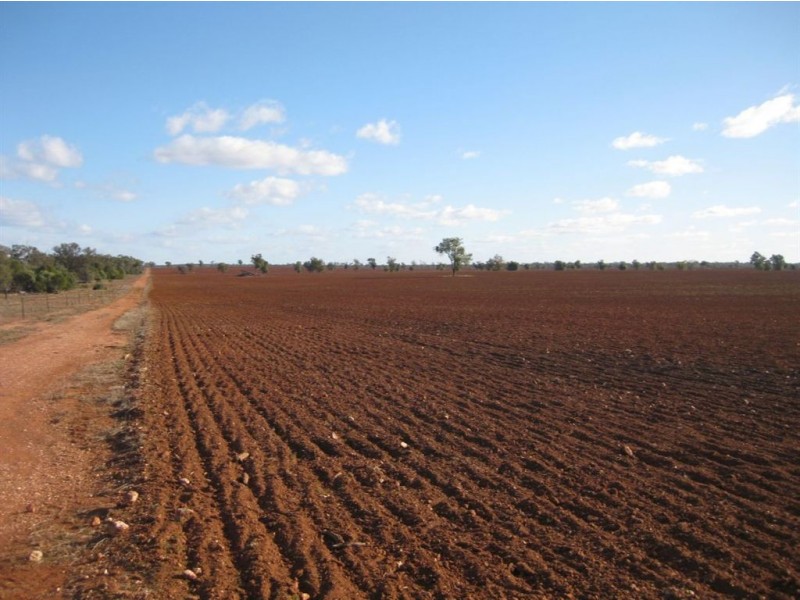 * Timbery, Cobar NSW 2835