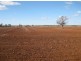 * Timbery, Cobar NSW 2835