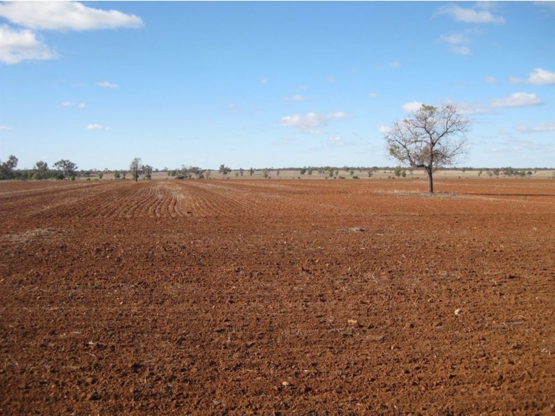 * Timbery, Cobar NSW 2835