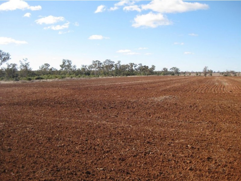 * Timbery, Cobar NSW 2835