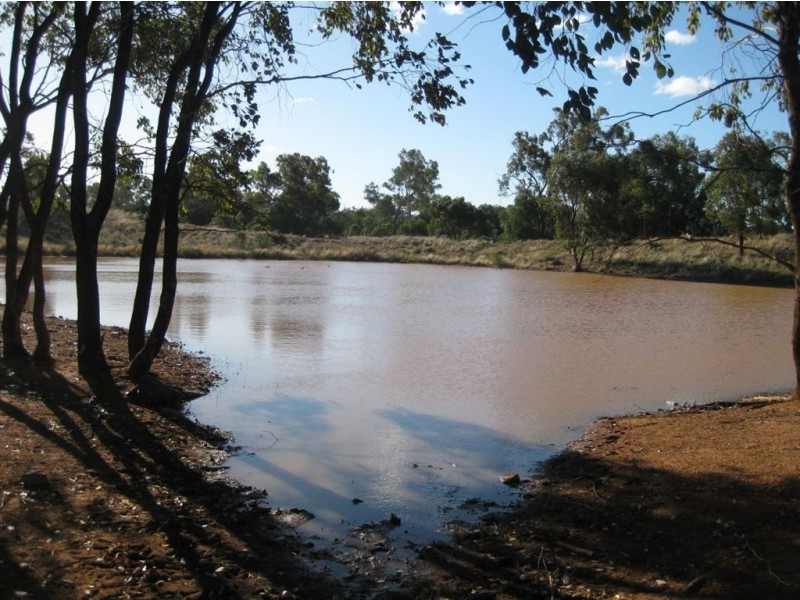 * Timbery, Cobar NSW 2835