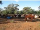 * Timbery, Cobar NSW 2835