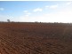 * Timbery, Cobar NSW 2835