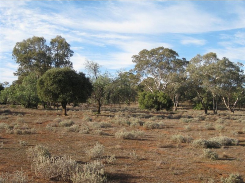 * Illewong, Cobar NSW 2835