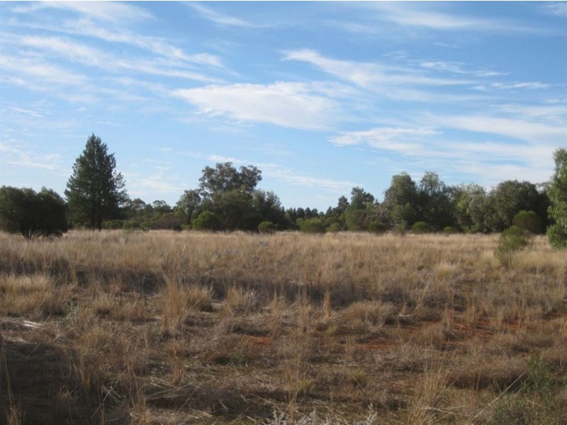 * Illewong, Cobar NSW 2835