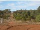 * Illewong, Cobar NSW 2835