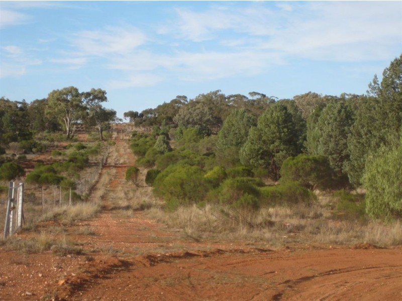 * Illewong, Cobar NSW 2835