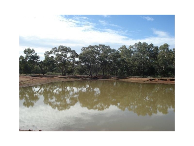 * Gattaca, Cobar NSW 2835