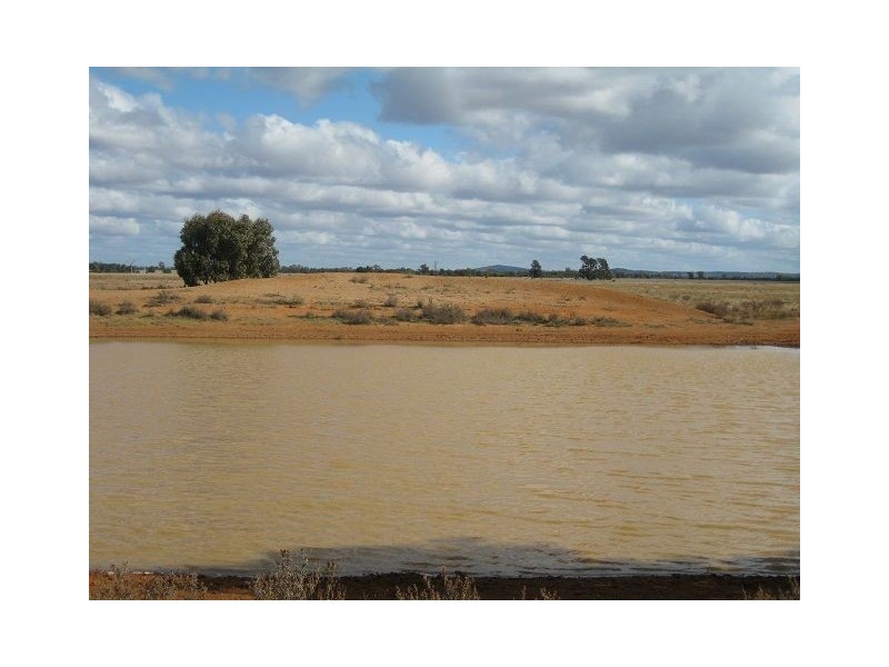 * WYNWOOD, Cobar NSW 2835
