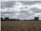 * WYNWOOD, Cobar NSW 2835