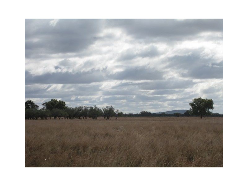 * WYNWOOD, Cobar NSW 2835