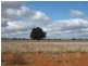 * WYNWOOD, Cobar NSW 2835