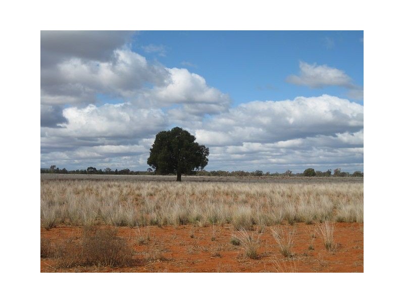 * WYNWOOD, Cobar NSW 2835