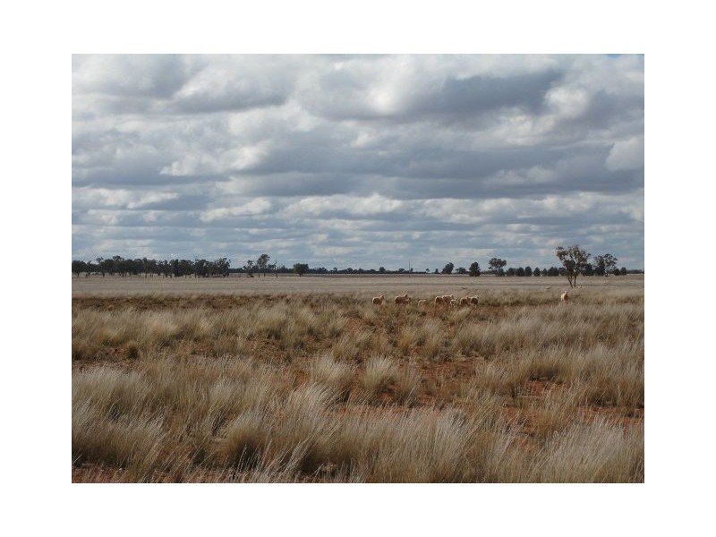 * WYNWOOD, Cobar NSW 2835