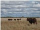 * WYNWOOD, Cobar NSW 2835
