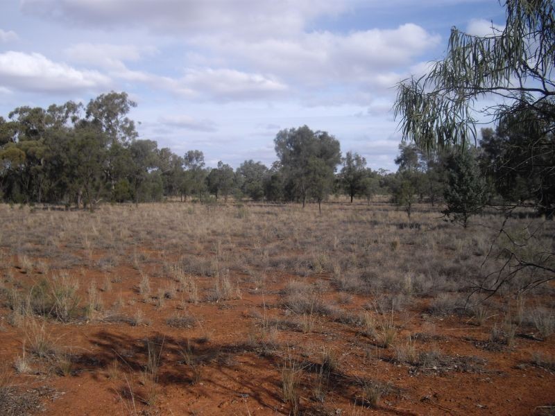 * MONTIETH, Nyngan NSW 2825