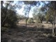 * MONTIETH, Nyngan NSW 2825