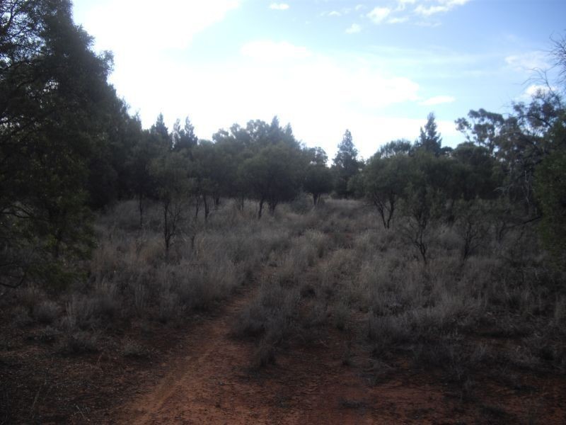 * MONTIETH, Nyngan NSW 2825