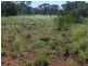 * MONTIETH, Nyngan NSW 2825