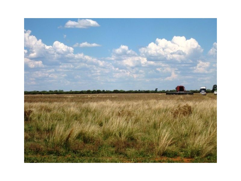 * Ashleigh Downs, Cobar NSW 2835