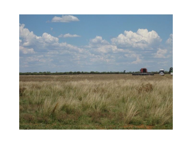 * Ashleigh Downs, Cobar NSW 2835