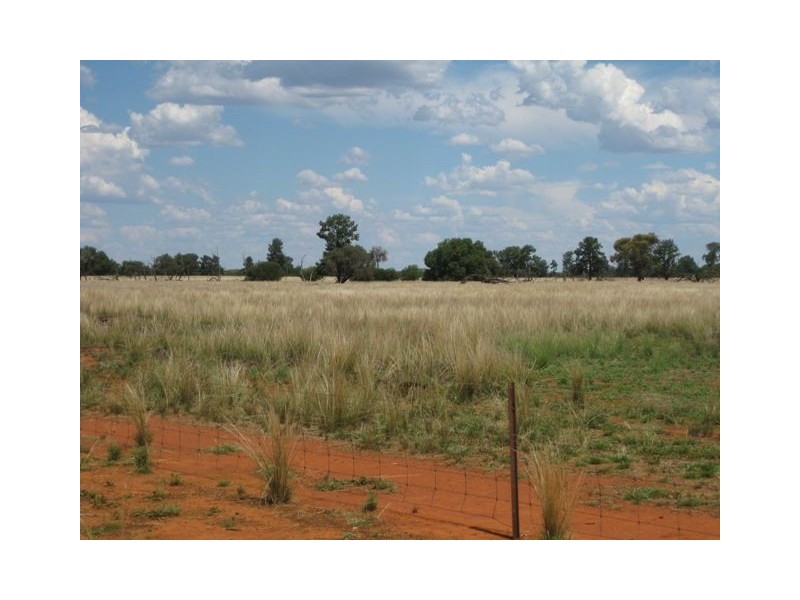 * Ashleigh Downs, Cobar NSW 2835