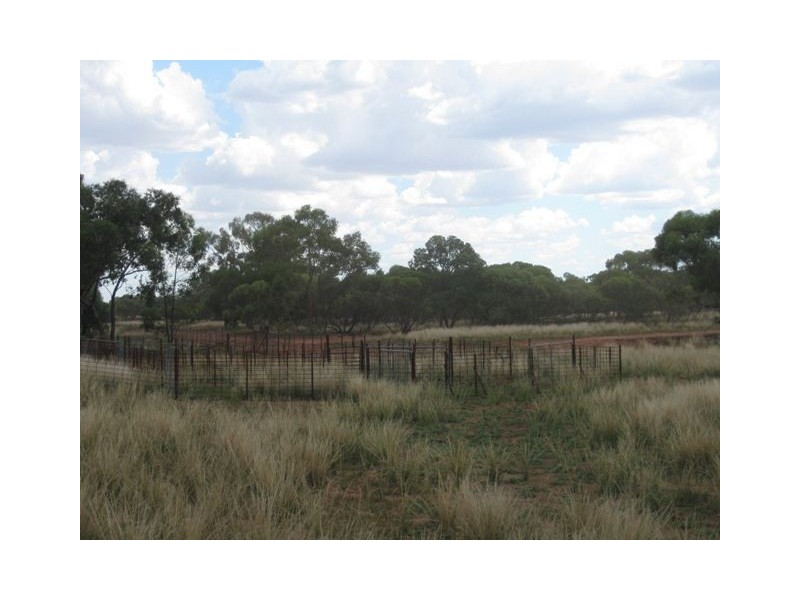 * Ashleigh Downs, Cobar NSW 2835