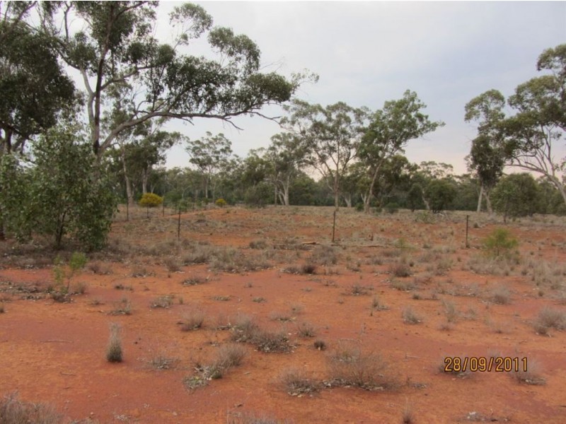 * Trinmal, Cobar NSW 2835