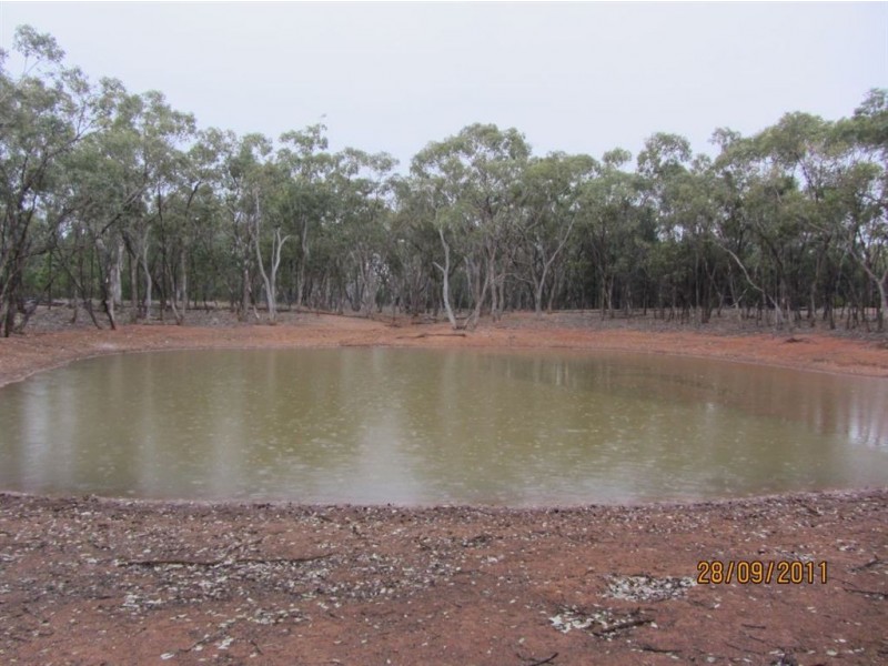 * Trinmal, Cobar NSW 2835