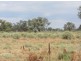 + Tilpa, Cobar NSW 2835