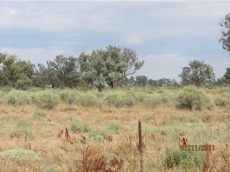 + Tilpa, Cobar NSW 2835