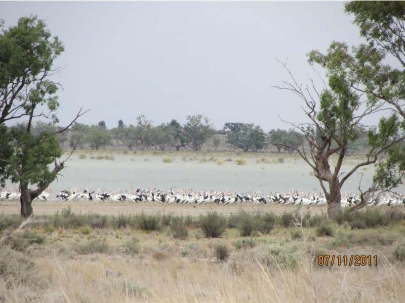 + Tilpa, Cobar NSW 2835