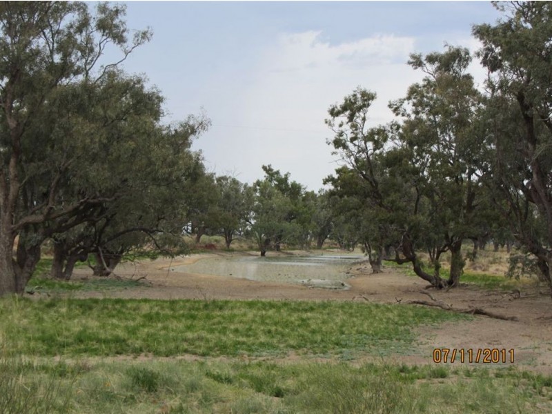 + Tilpa, Cobar NSW 2835