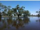 + Tilpa, Cobar NSW 2835