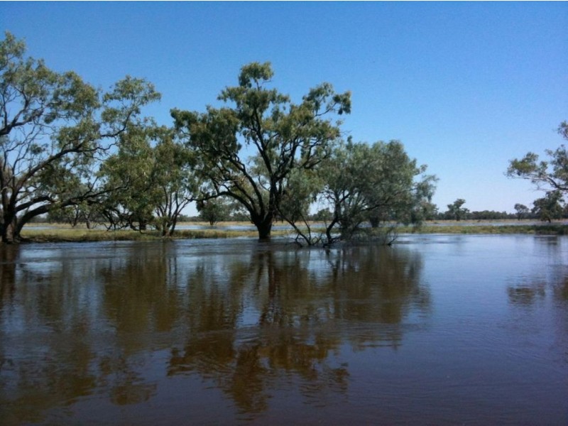 + Tilpa, Cobar NSW 2835