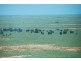 + Tilpa, Cobar NSW 2835