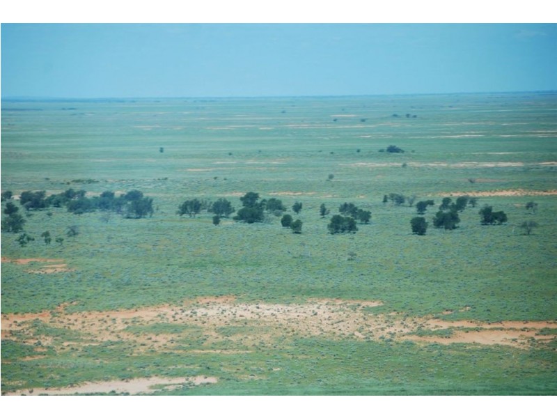 + Tilpa, Cobar NSW 2835