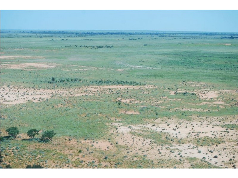 + Tilpa, Cobar NSW 2835