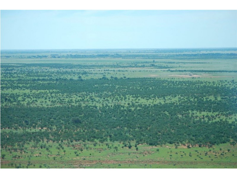 + Tilpa, Cobar NSW 2835