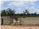 * Newman’s, Cobar NSW 2835