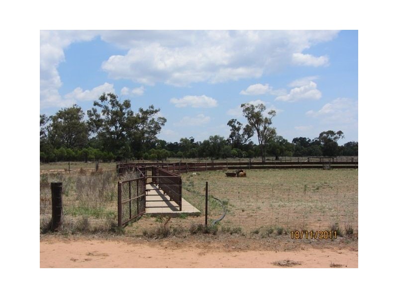 * Newman’s, Cobar NSW 2835