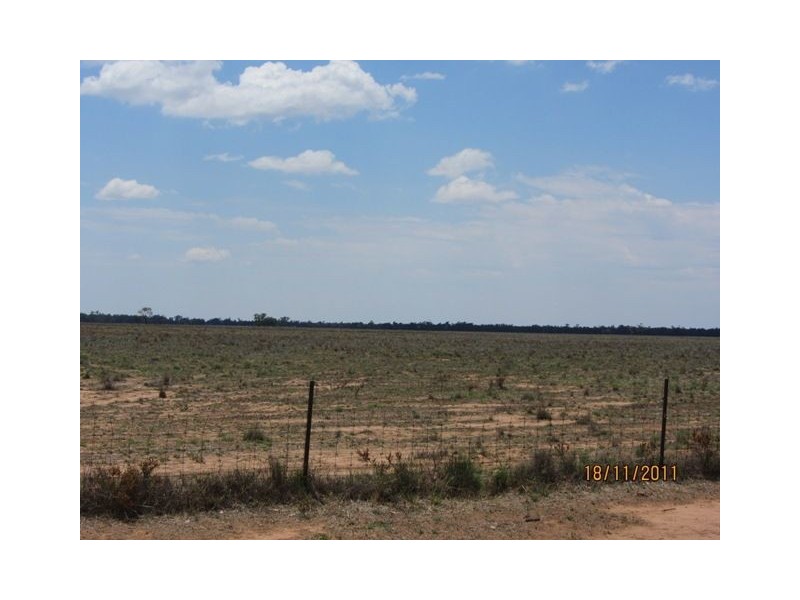 * Newman’s, Cobar NSW 2835