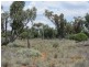 * Newman’s, Cobar NSW 2835