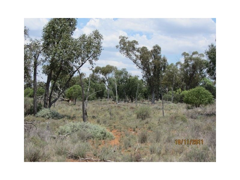 * Newman’s, Cobar NSW 2835