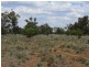 * Newman’s, Cobar NSW 2835