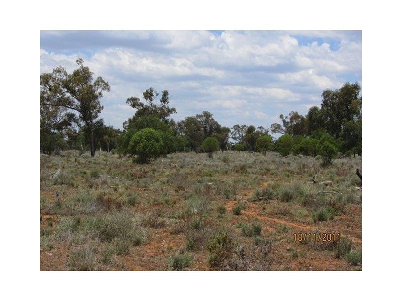 * Newman’s, Cobar NSW 2835
