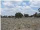 * Newman’s, Cobar NSW 2835