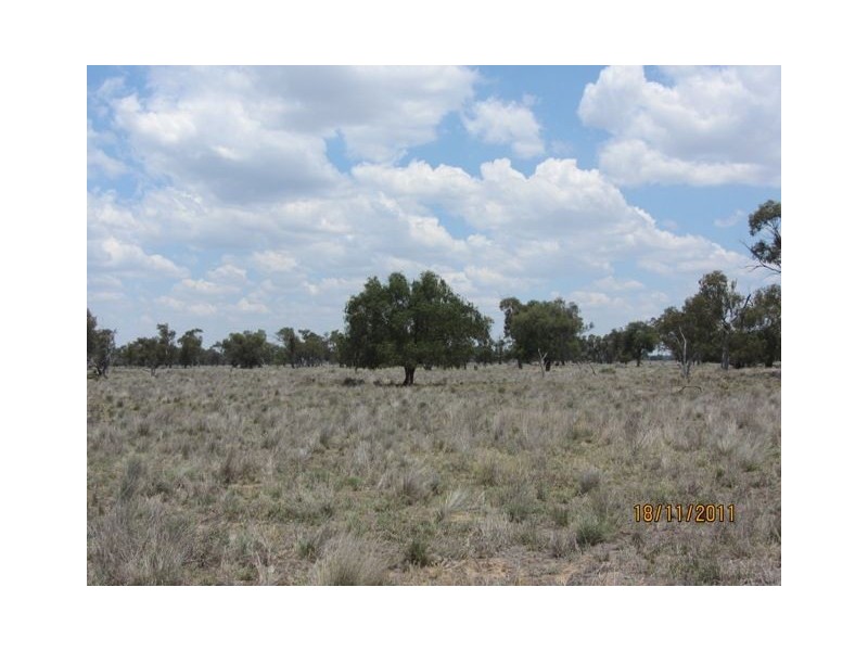 * Newman’s, Cobar NSW 2835