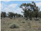 * Newman’s, Cobar NSW 2835